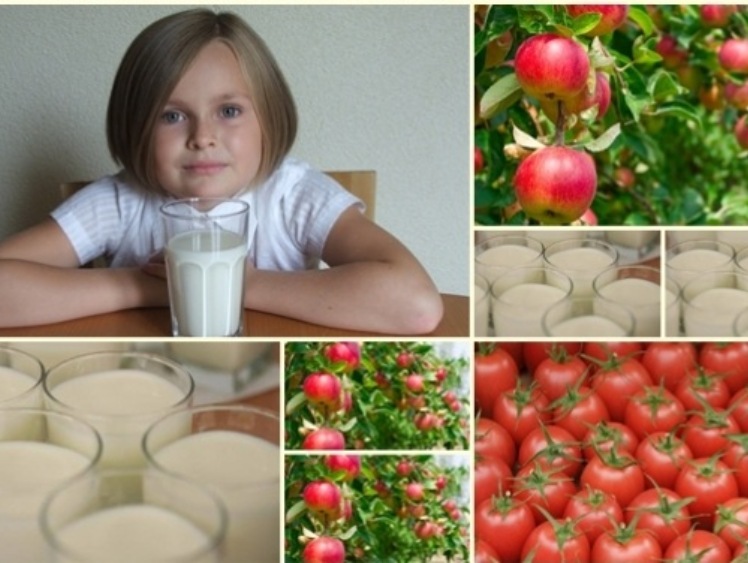 Program wsparcia z UE dla szkół: mleko oraz owoce i warzywa w szkołach